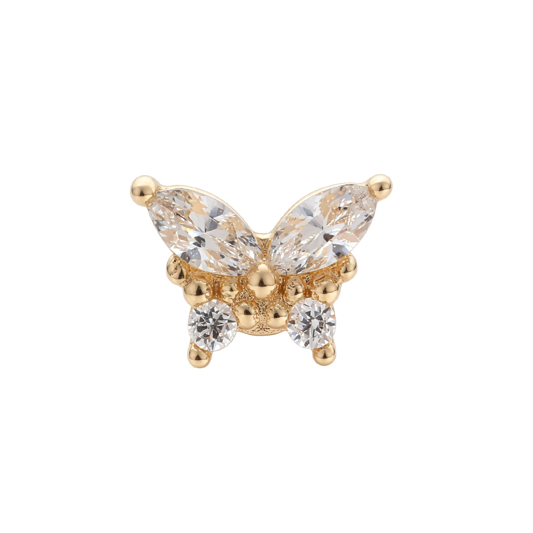 Papilio