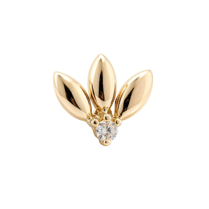 Zlatý piercing Folium – 14k zlato