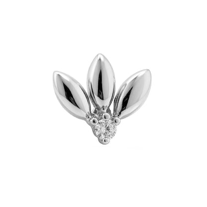 Zlatý piercing Folium – 14k bílé zlato