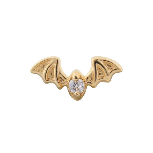 Chiroptera