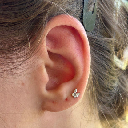 Crystalla