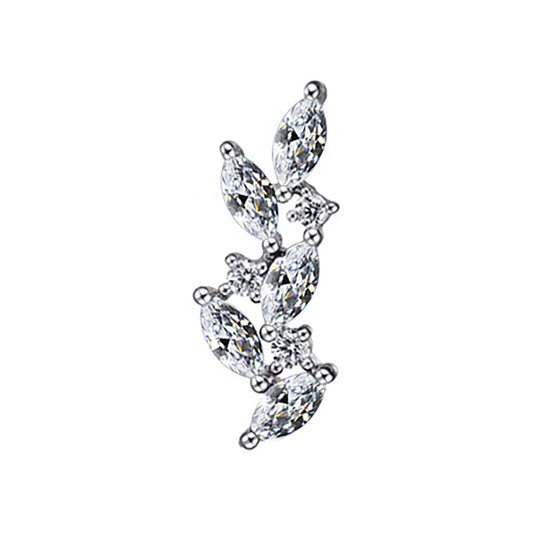 Folium marquise