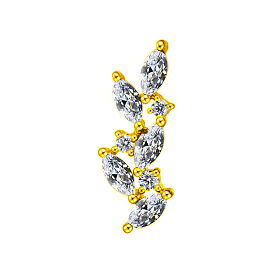 Folium marquise