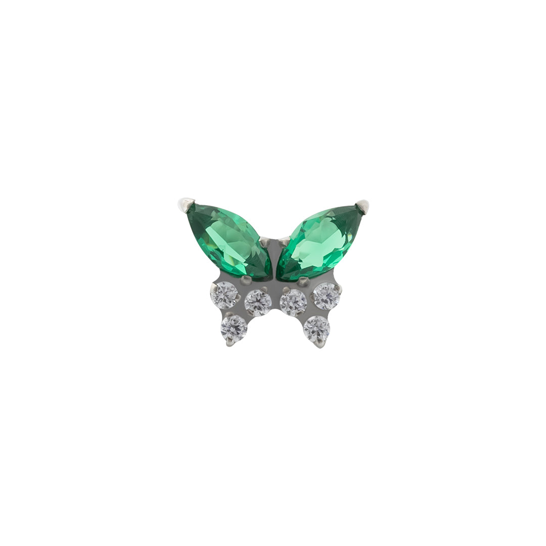 Papilio marquise