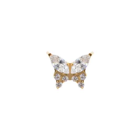 Papilio marquise